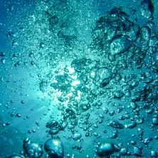 Capture of underwater bubbles rising towards the surface with sunlight streaming through.